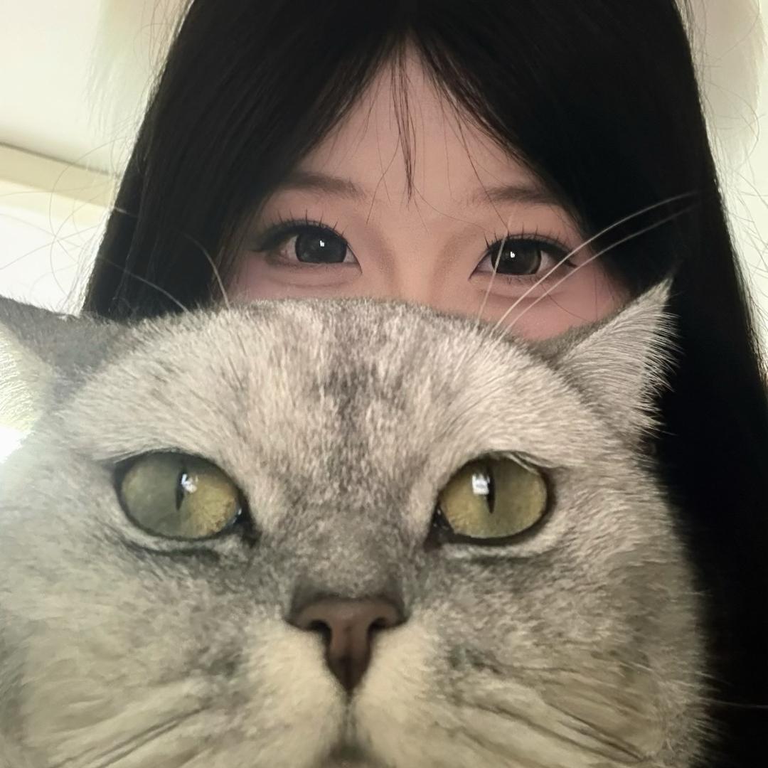 🎤小猫の歌/•᷅•᷄\୭