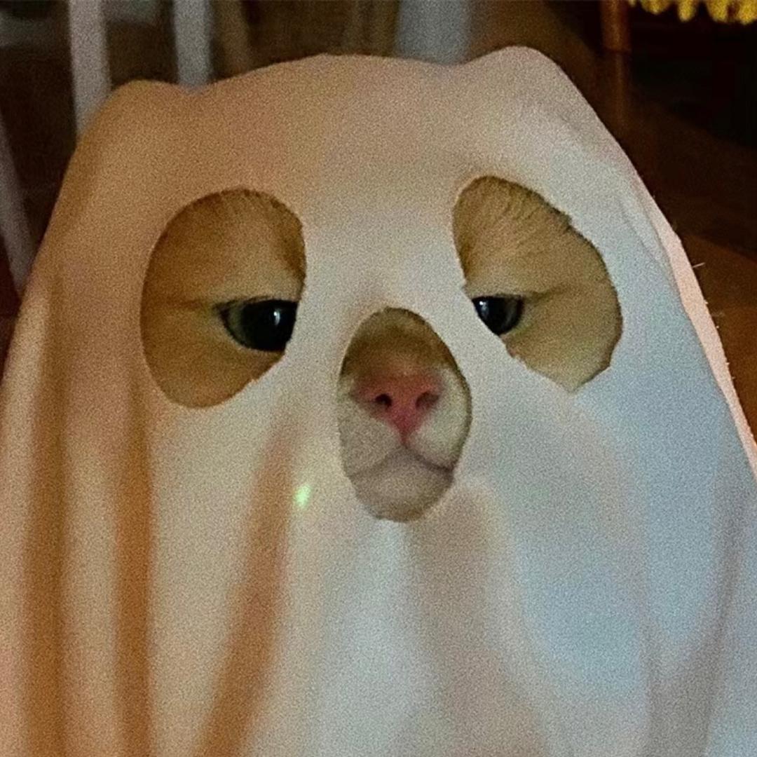 :-D八个冬菇