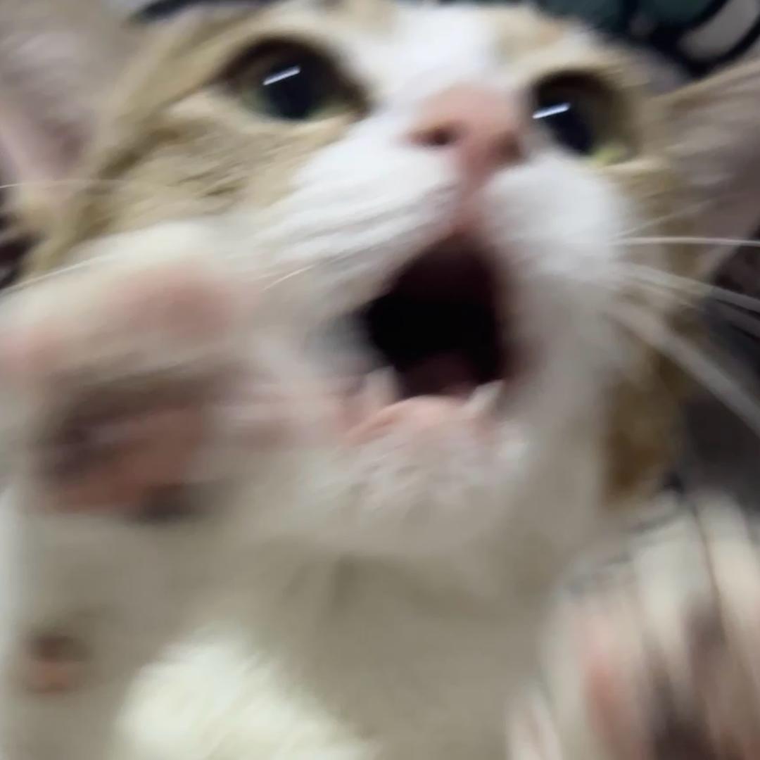 bin