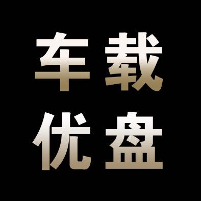 柏林之音车载u盘