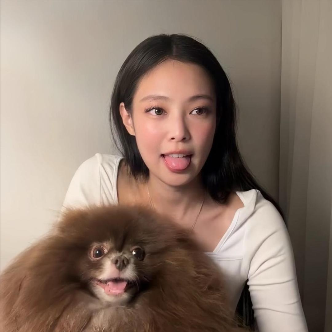 隐姓埋名刘亦菲
