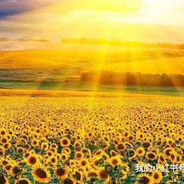 sunny在合肥