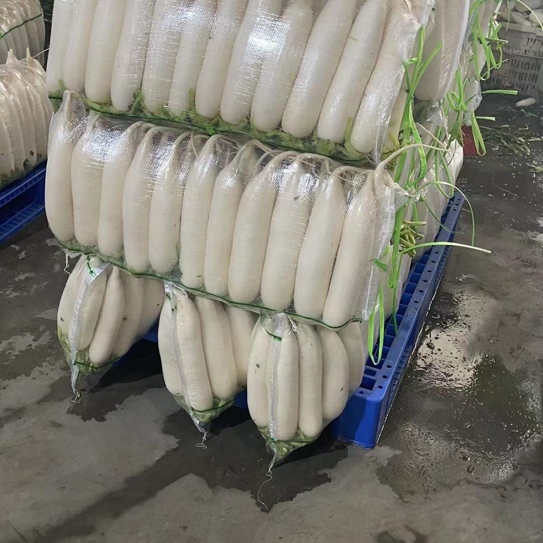禾发蔬菜