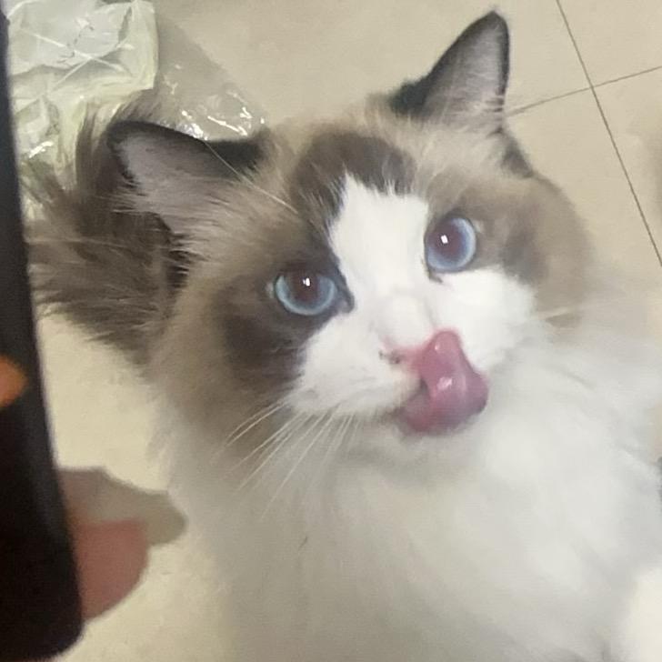 香蕉炖豆腐