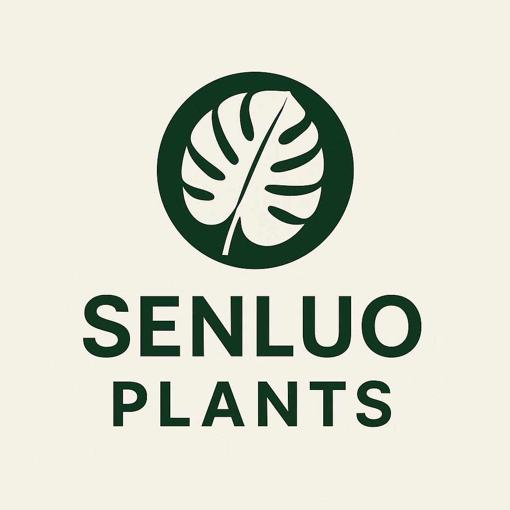 森罗PLANTS