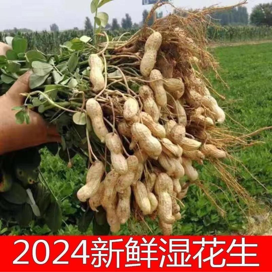 夕槿优品店