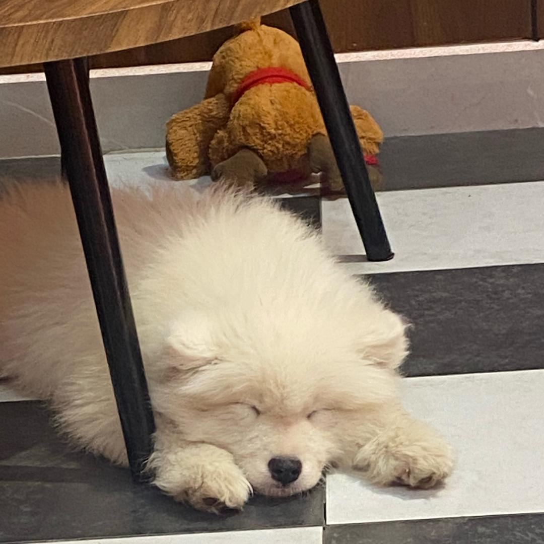 爱笑的梓华❗️