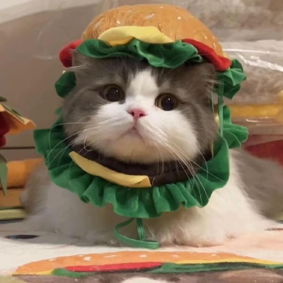 小炒肉大王