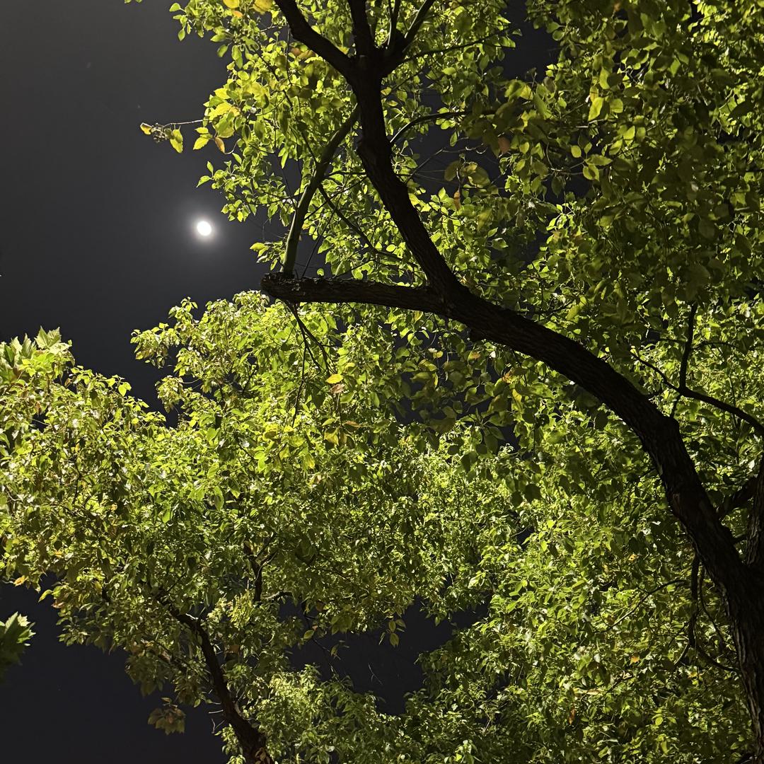 广州森正建材创意屋