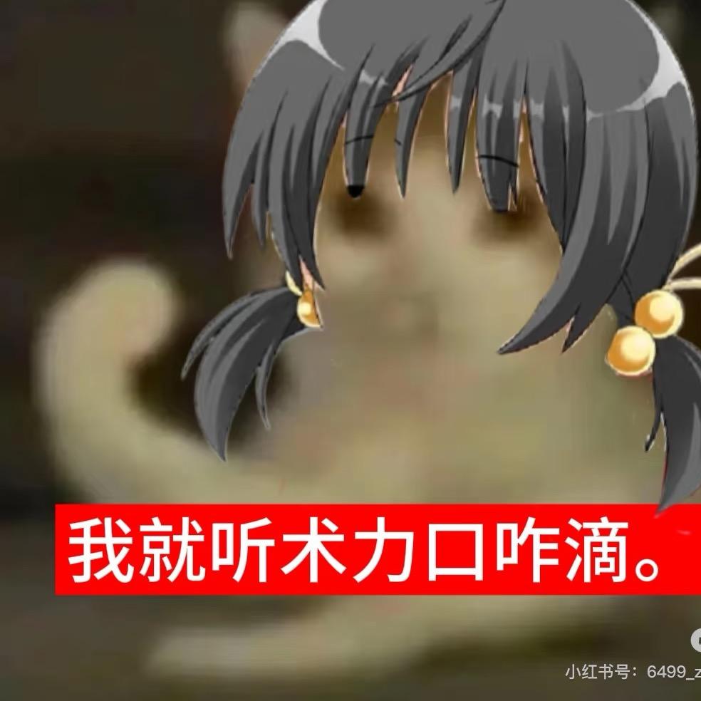 雨(仅此一号)开学版T∧T