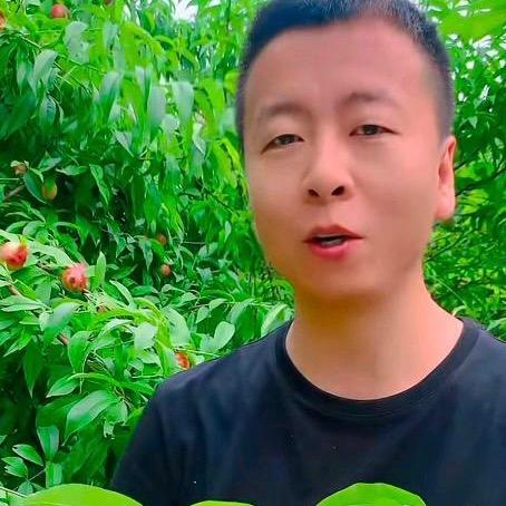 葱哥有时间