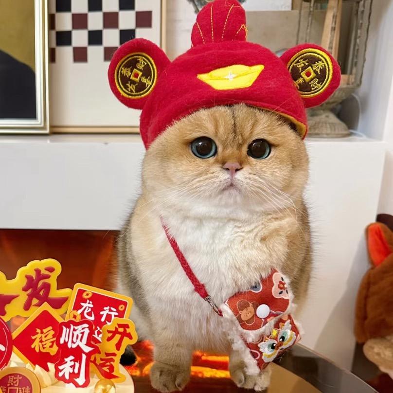困且爱睡觉