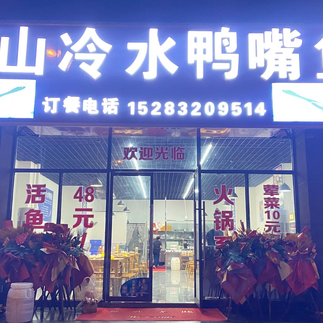 高山冷水鸭嘴鱼