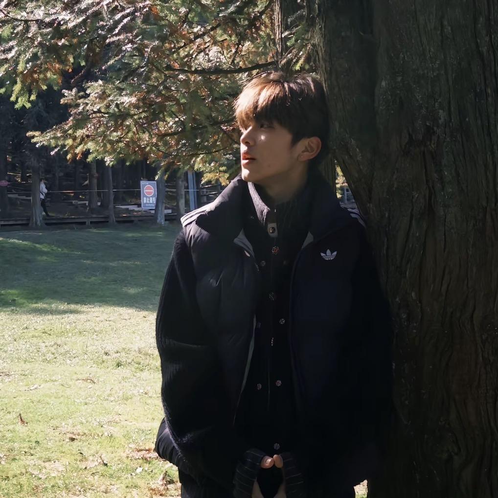 矛盾波动的千里马