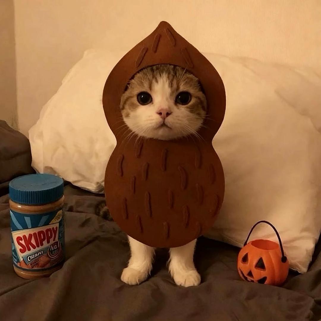 我发誓我只爱琦琦