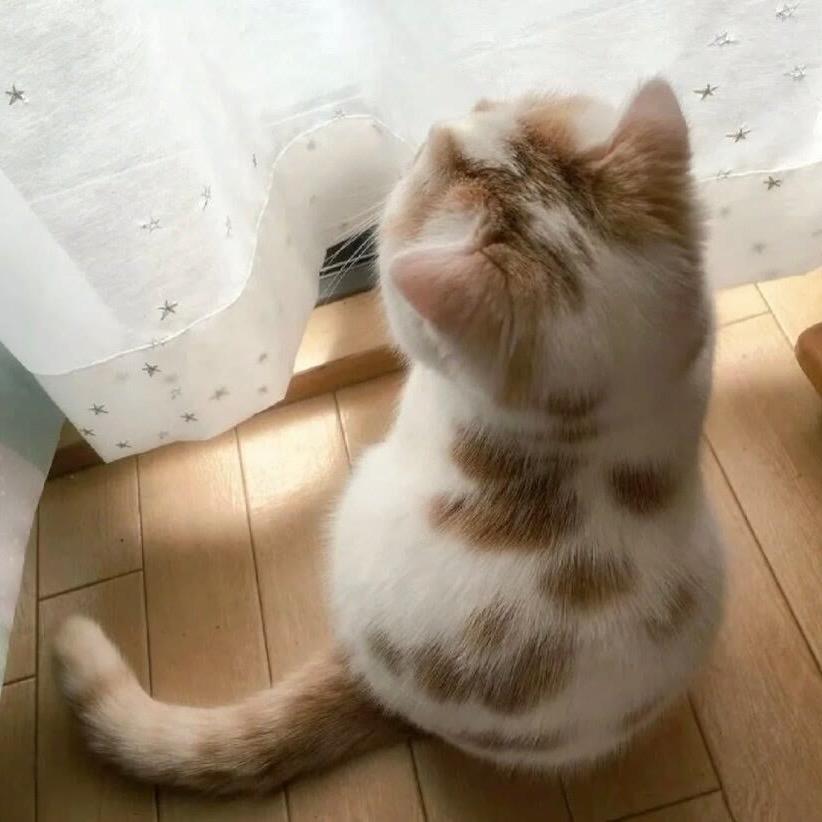 唉呀妈呀