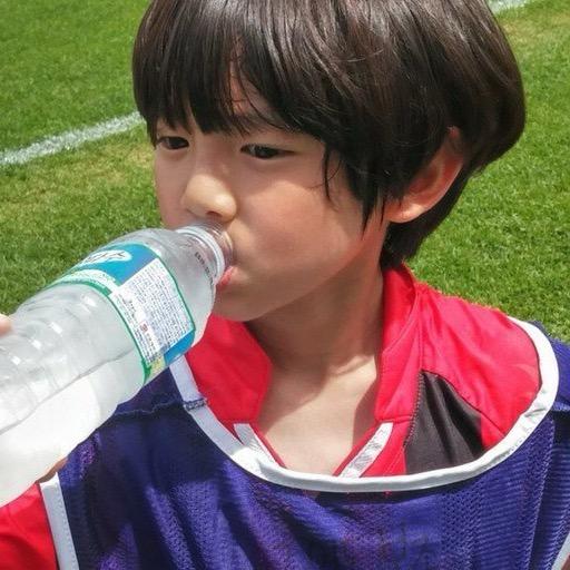 柿柿石榴梓