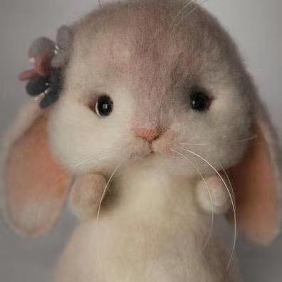 YY