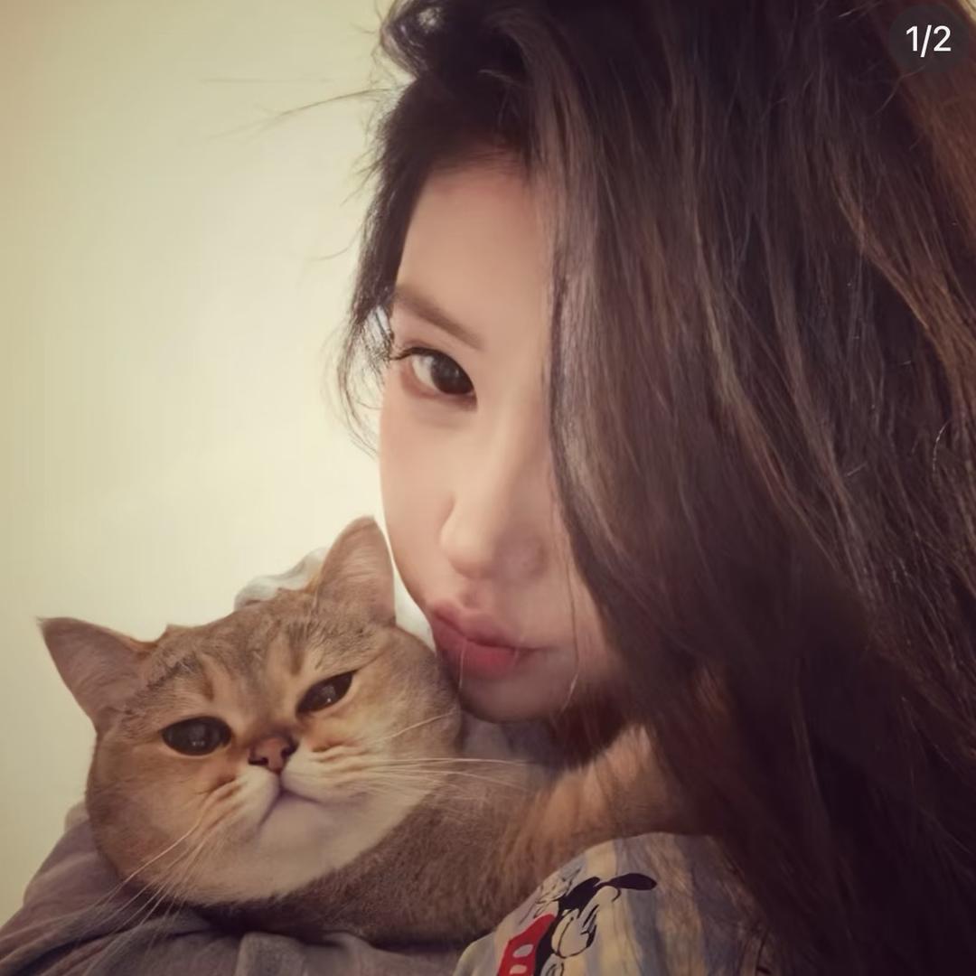 阮霖🎀