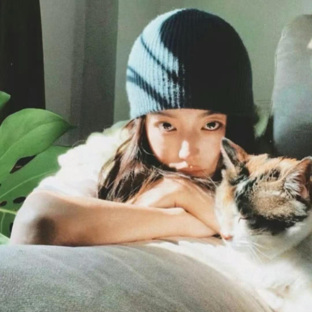 星星泡饭🌟🍚