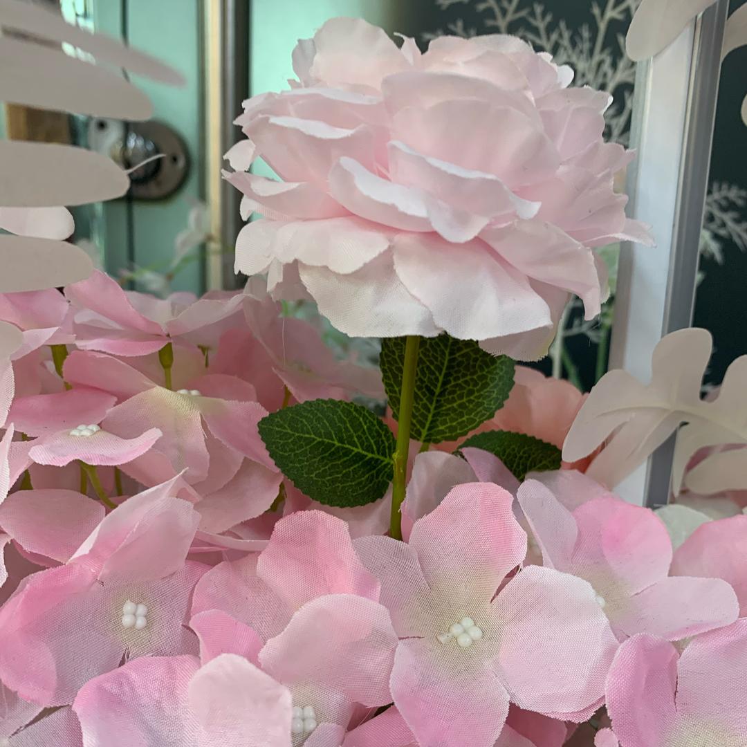 感恩遇见❤️