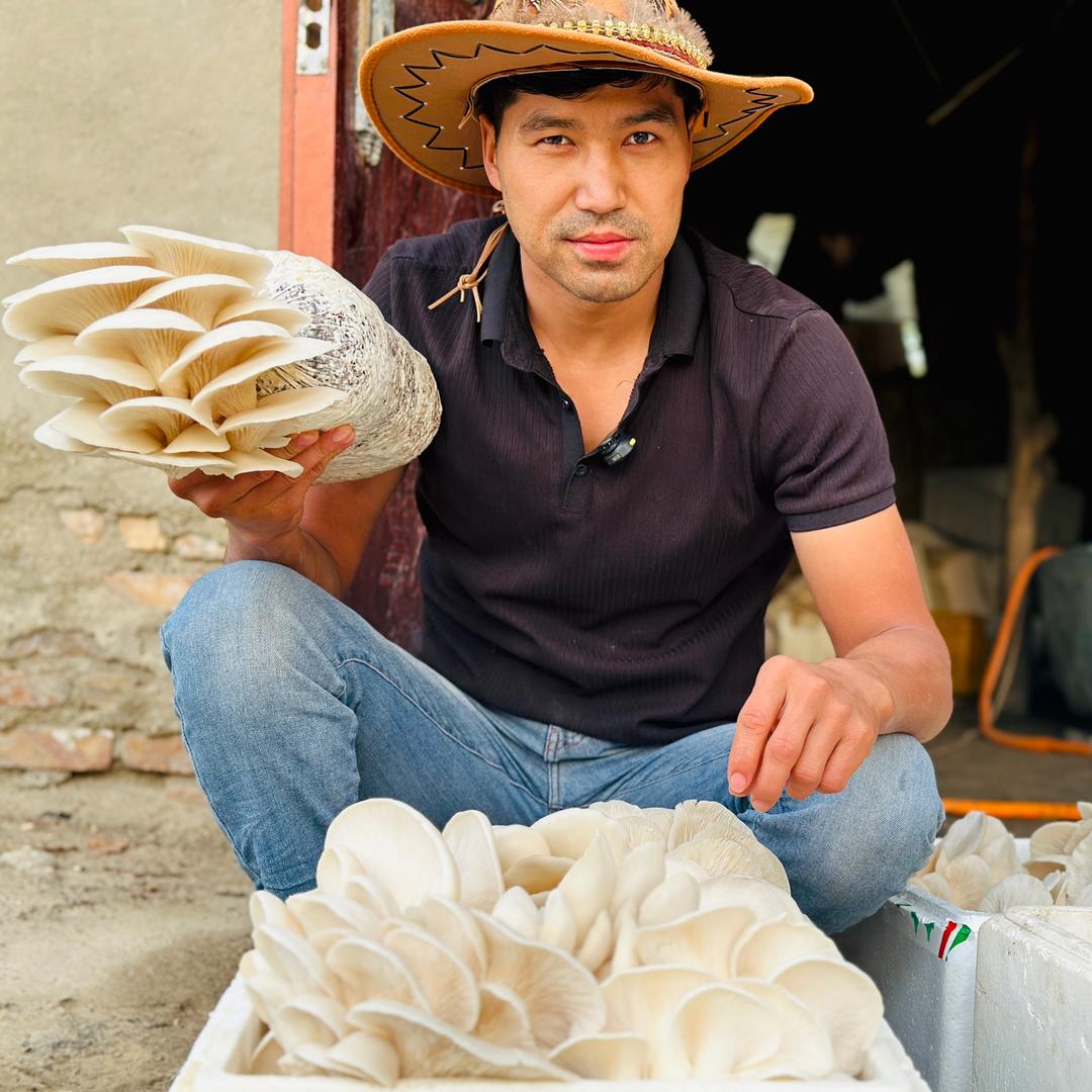 种蘑菇的农村男孩🍄