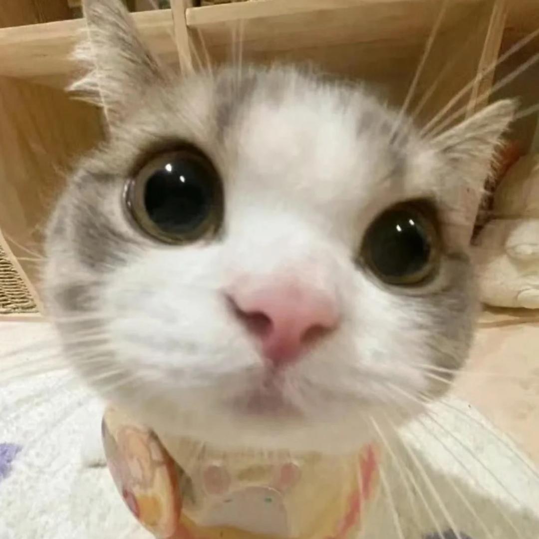 珍  .