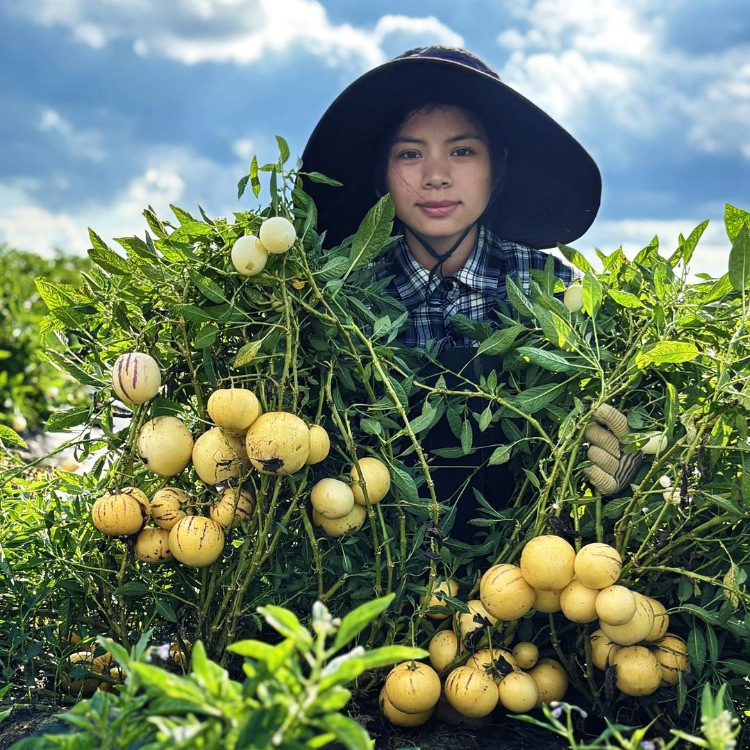 果然鲜又多优选