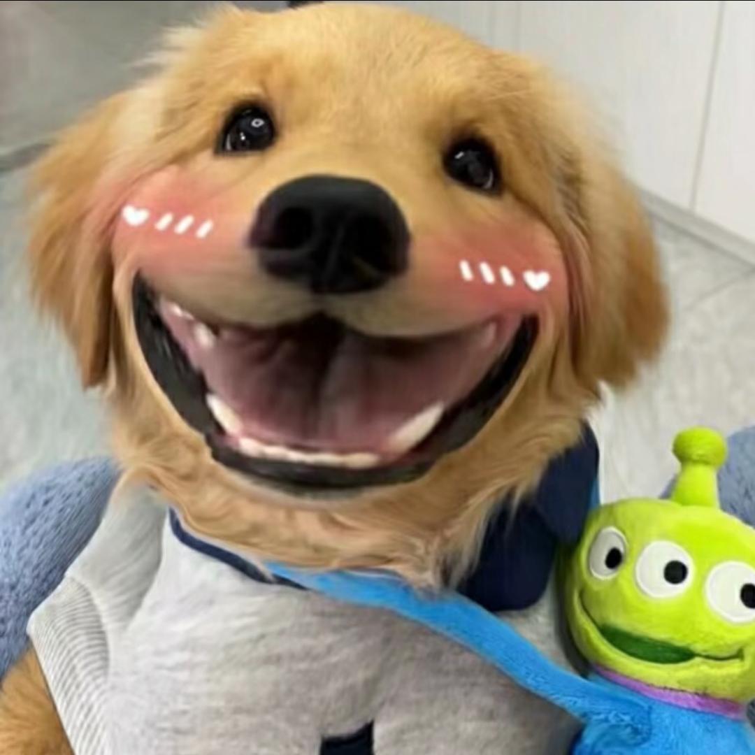 六六