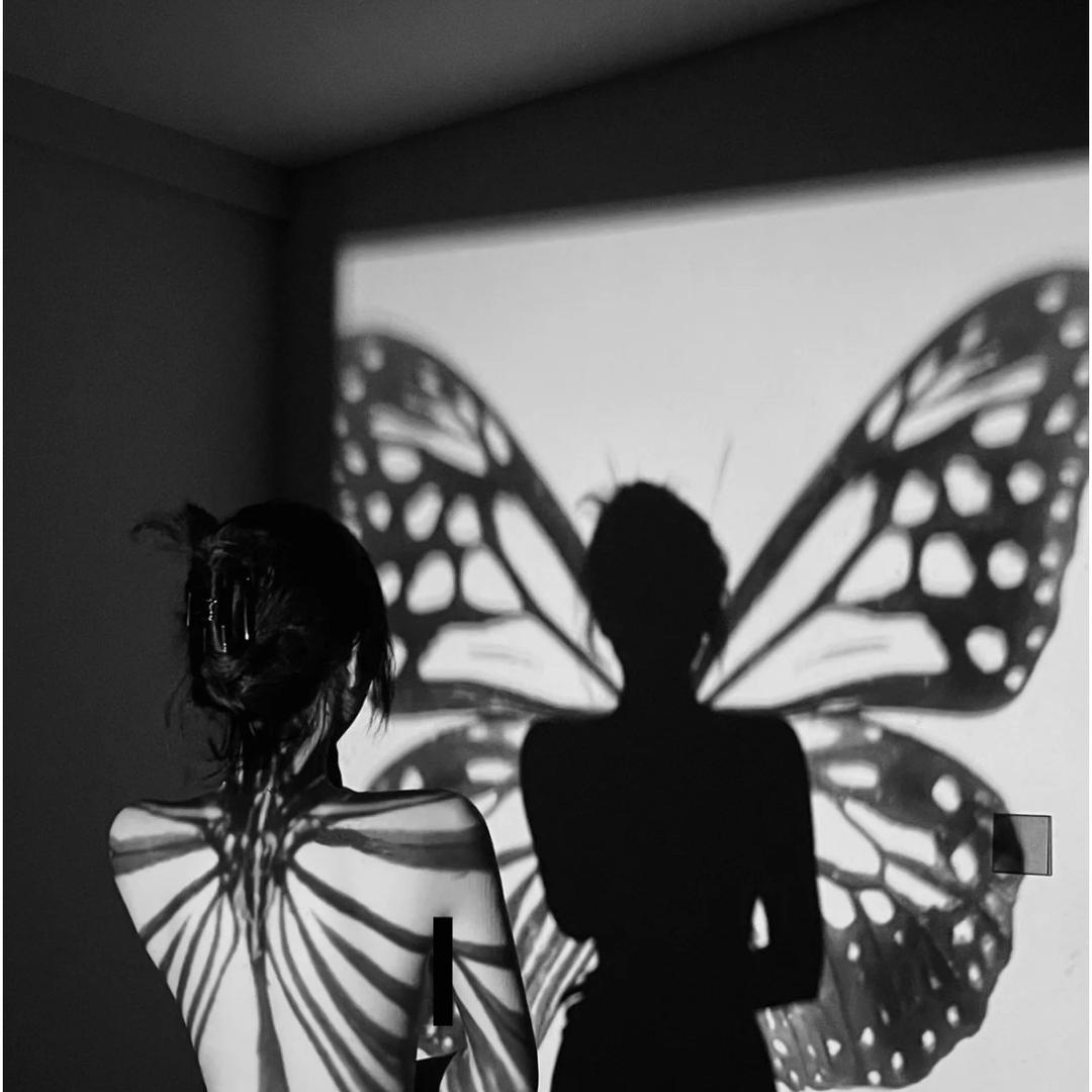 小蝶🦋
