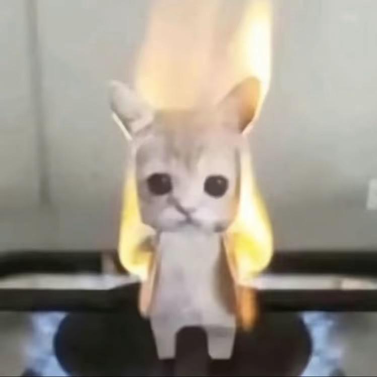 泪水打湿火鸡面你却不知道我的好