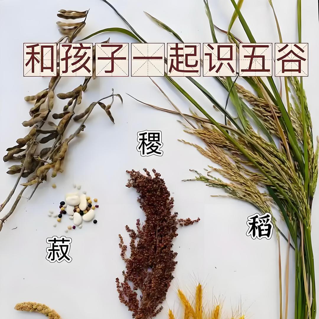 说康健的胡老师