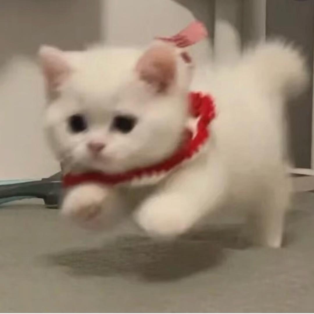 ➕加个炸蛋🍳