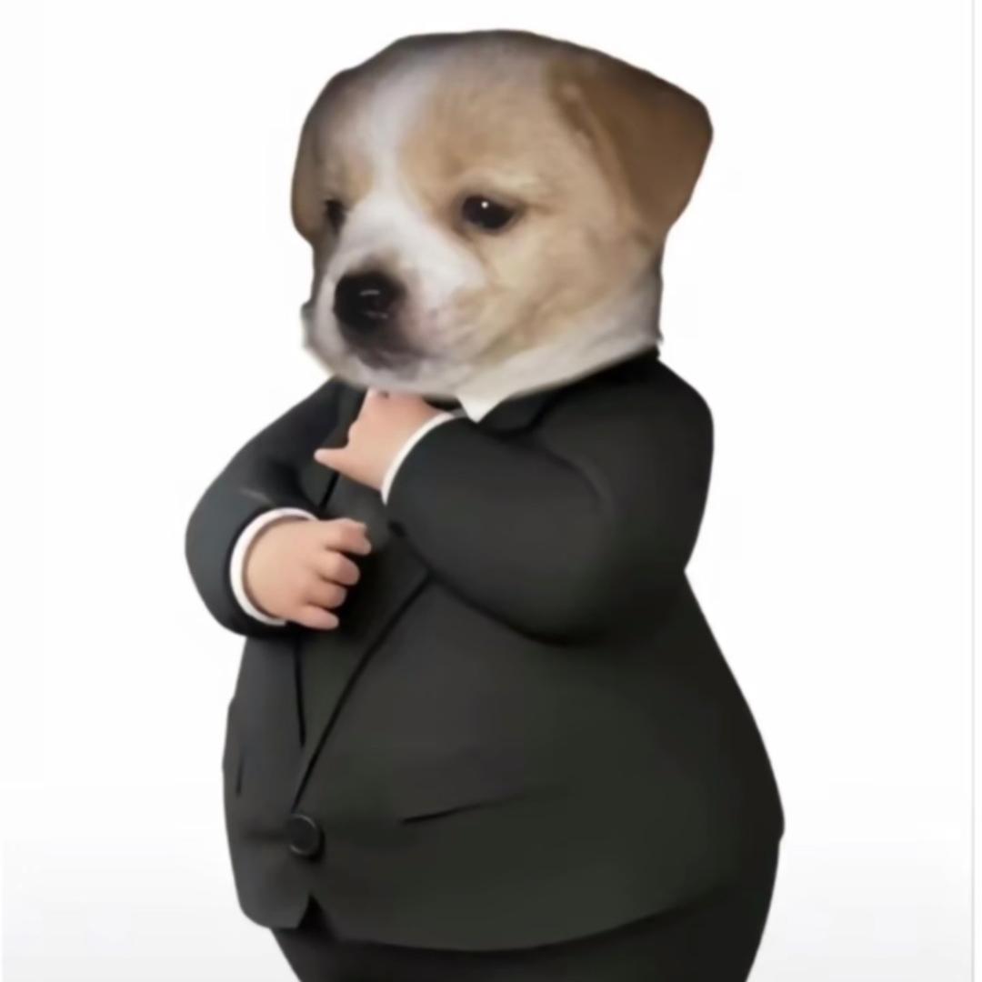 一只鱼