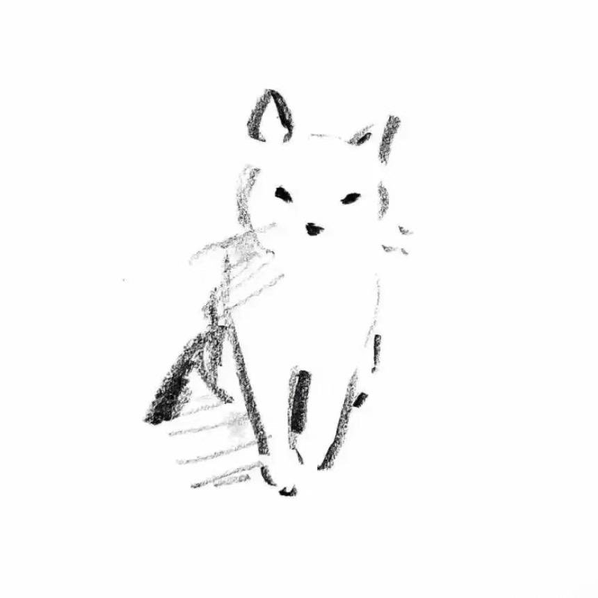 鱼琳