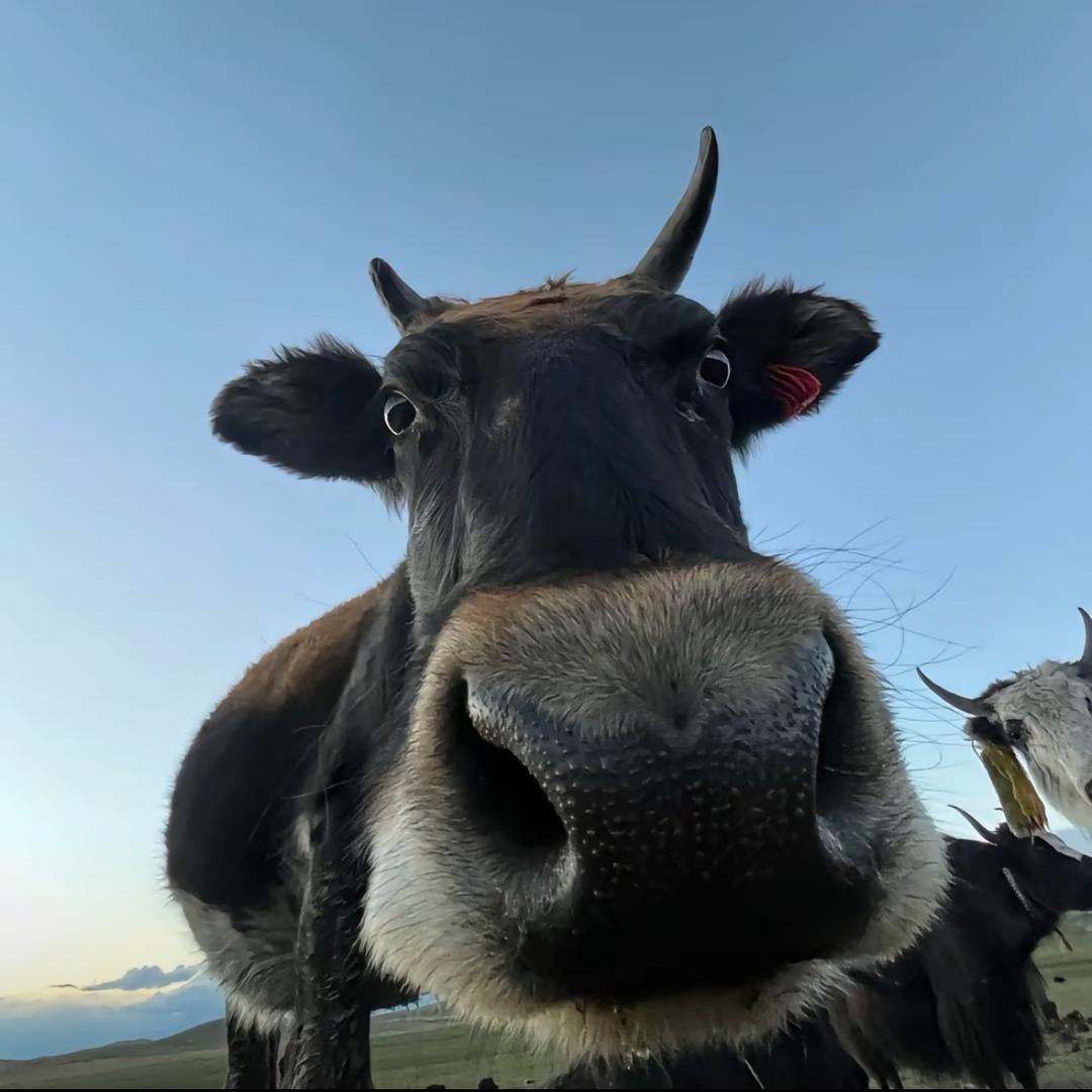我没