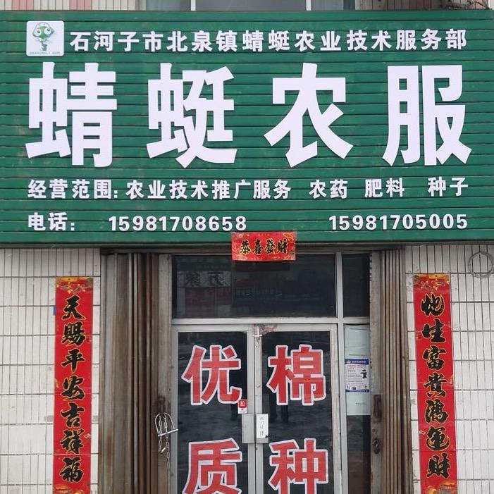 大转盘24号蜻蜒农服