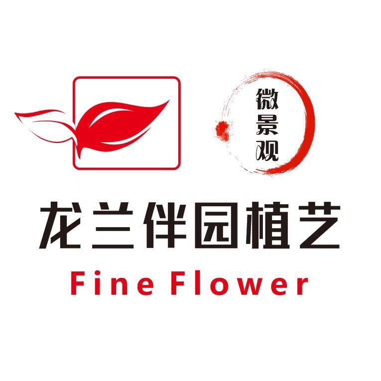龙兰伴园植艺