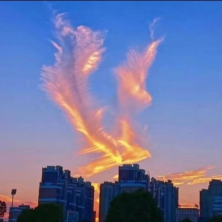 @张张张张