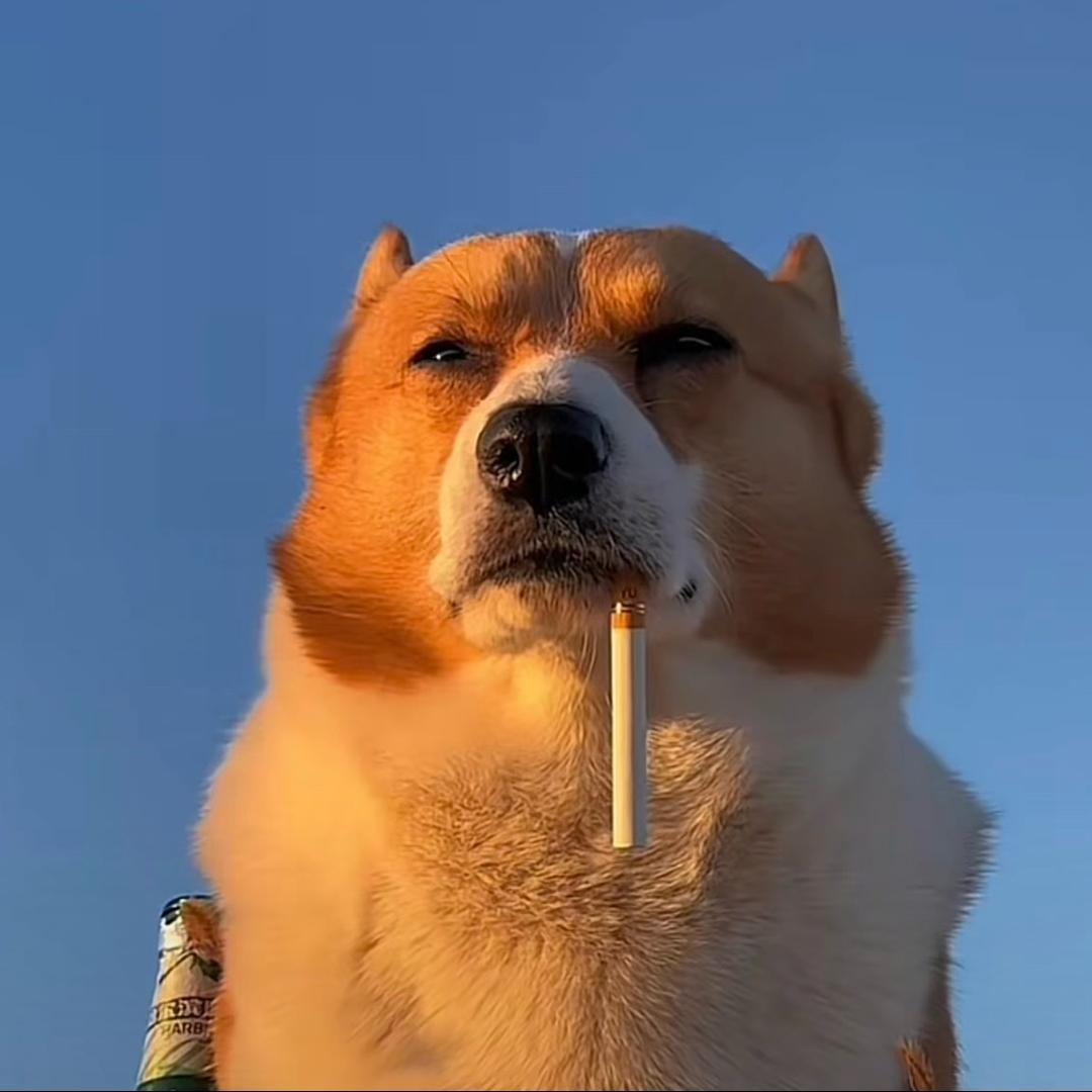 谭杰伦