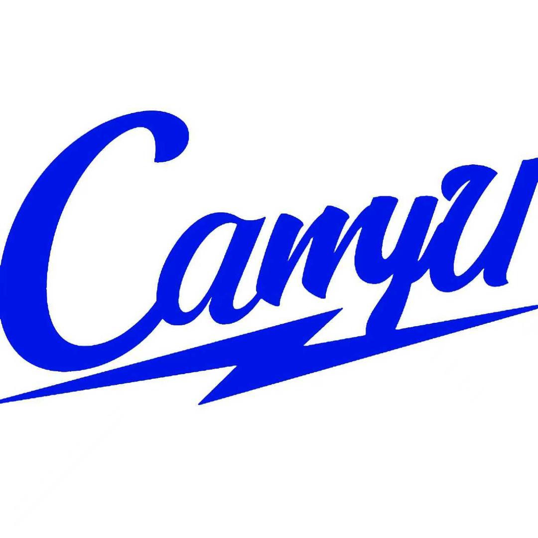 CarryU®優秀👏🏻