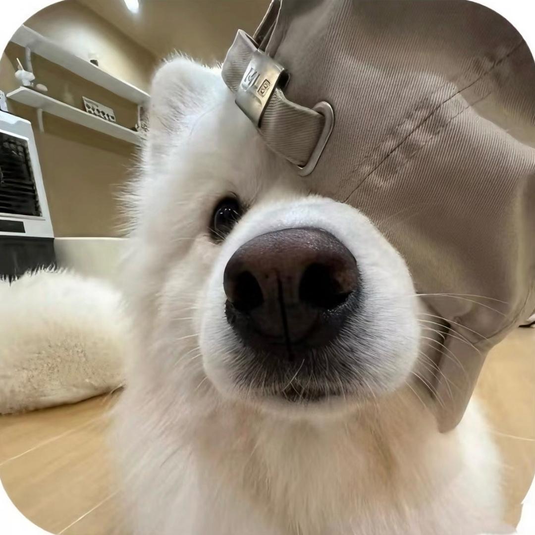 无敌火鸡面大王👑