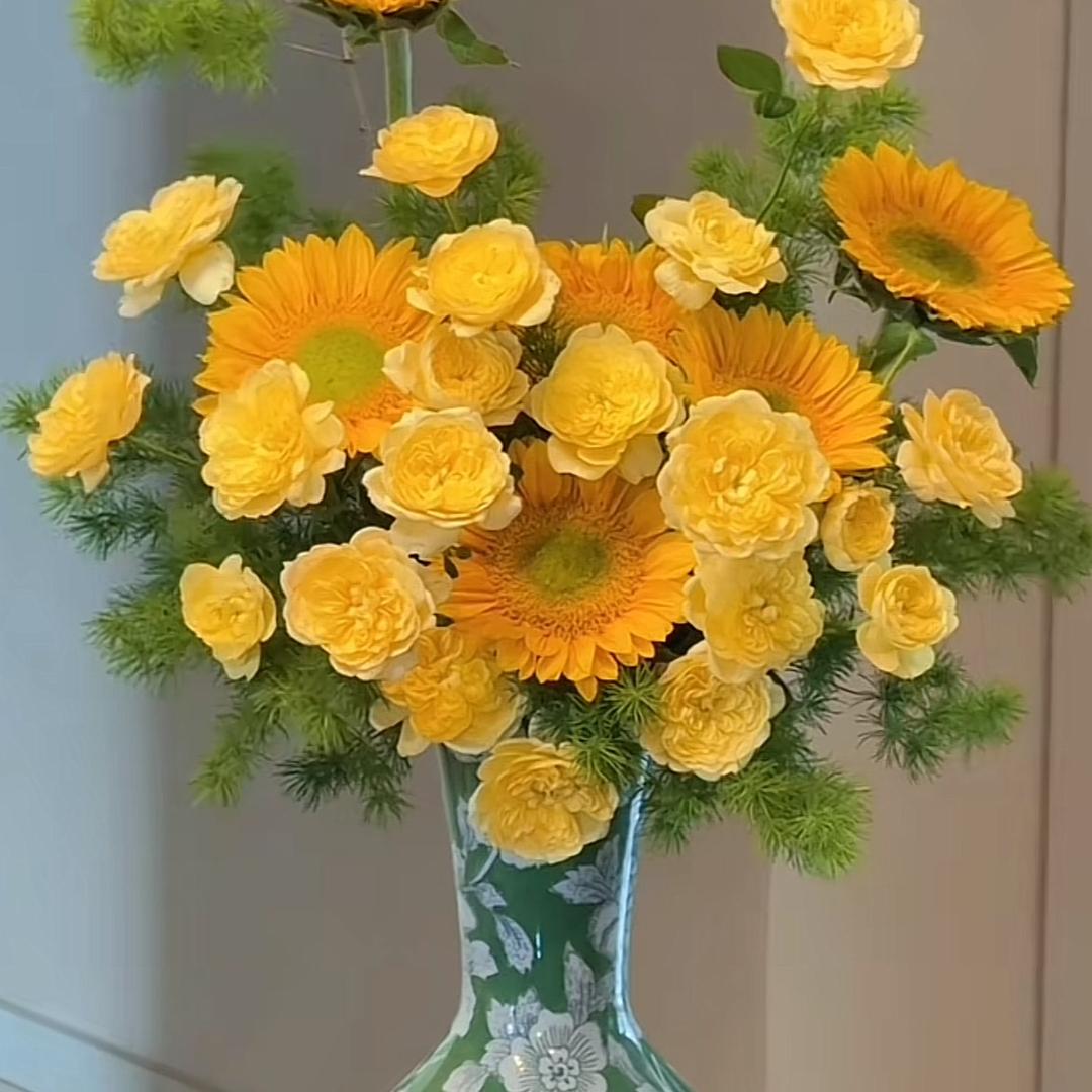 满满的种花日记
