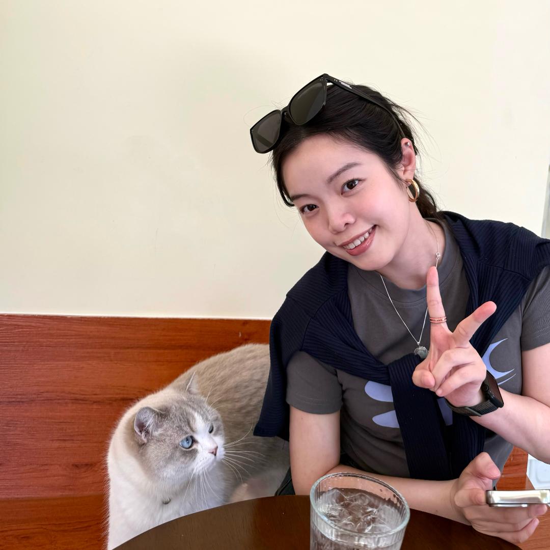 不是葉某某