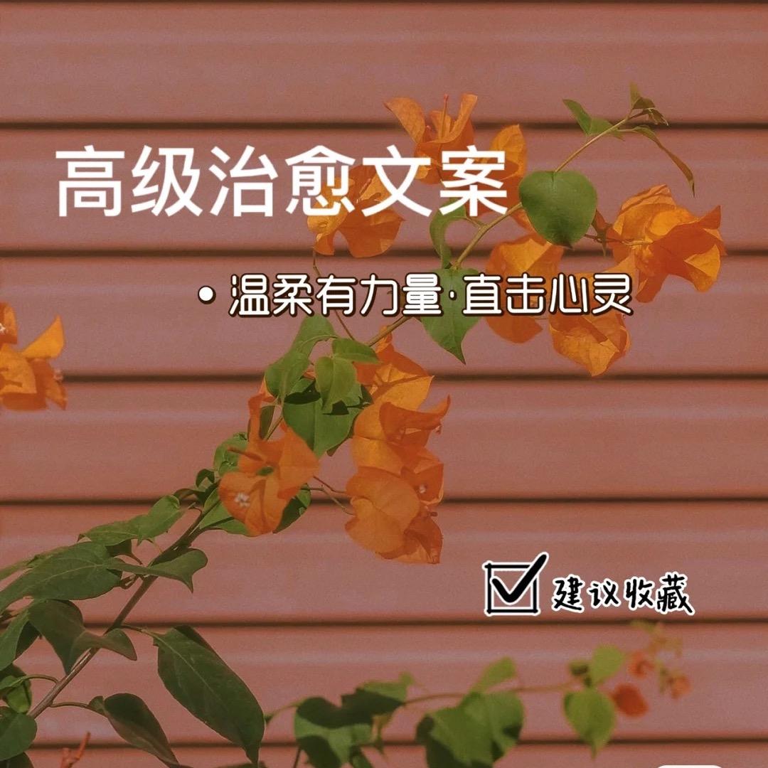 李不理1117