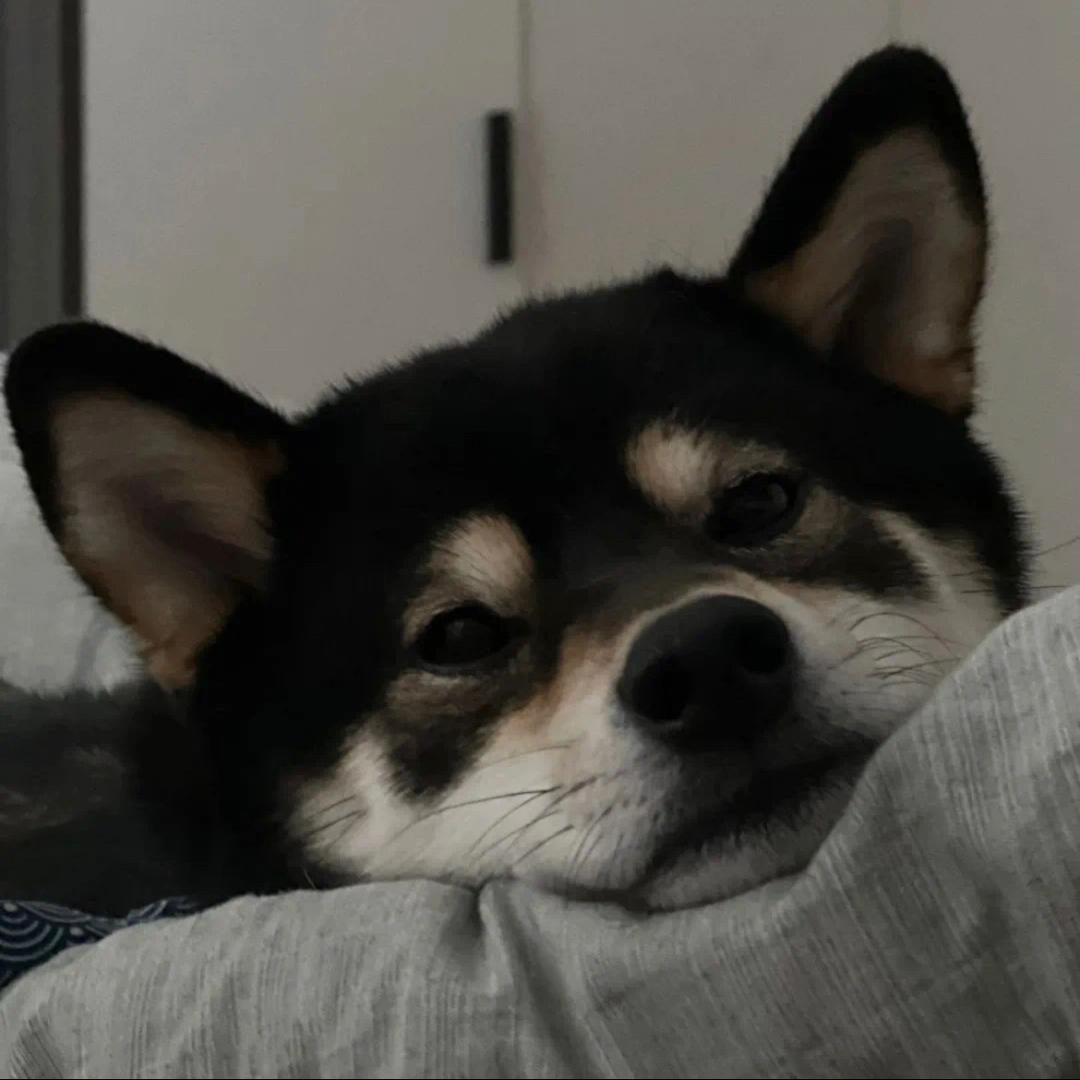 爱吃芒果的茶茶