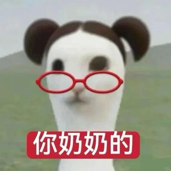 被驴踢了的天才