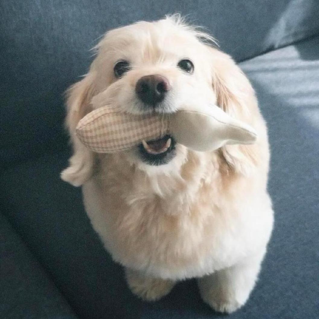 别和奇怪的我说话