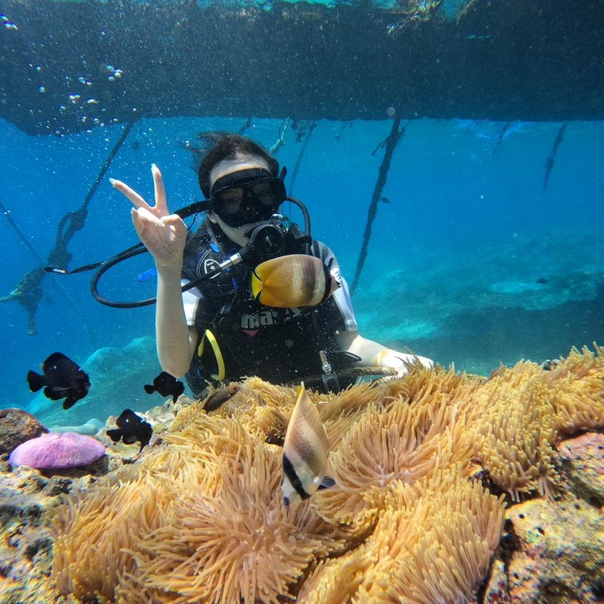 小🐠转晴