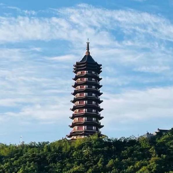 蚂蚁药家用一窝端室内无毒第一名